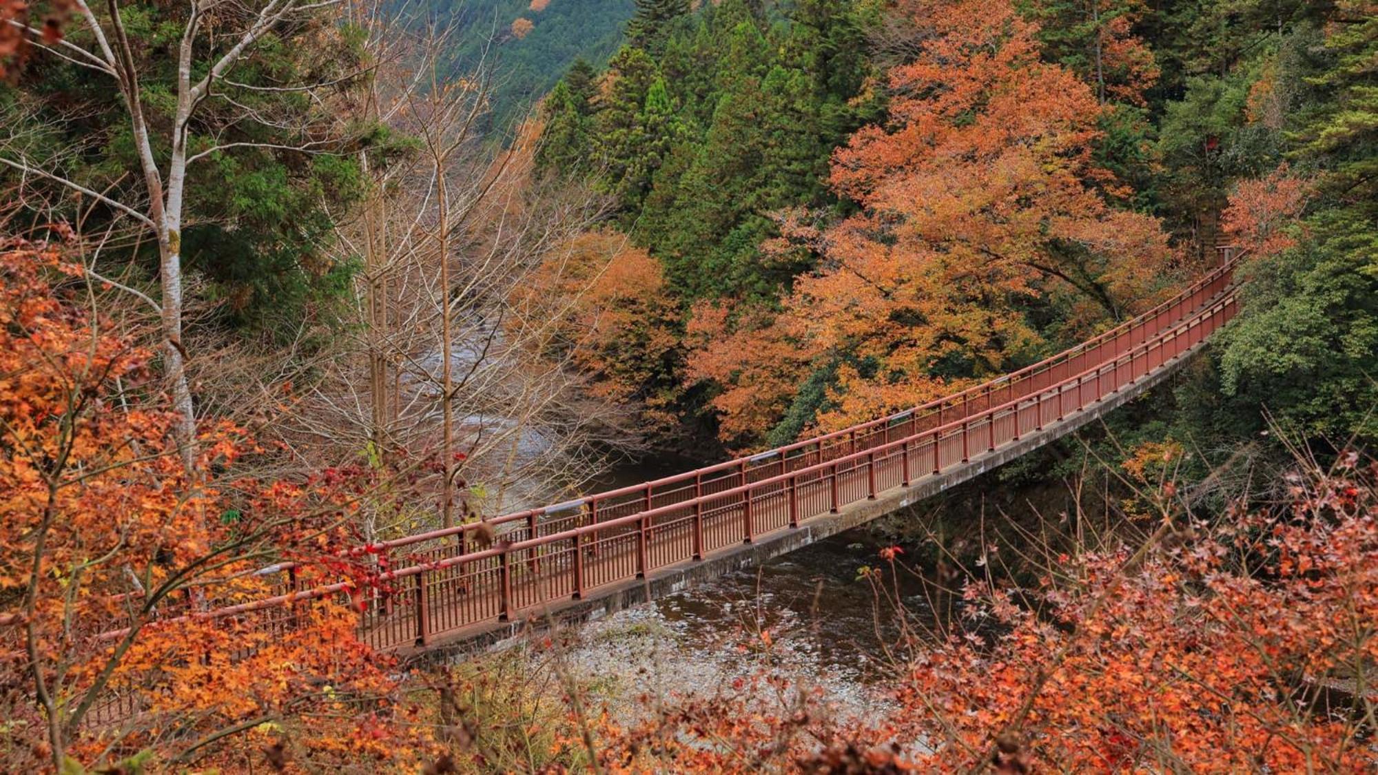 Toyoko Inn Tokyo Akigawa-Eki Kita-Guchi Akiruno Dış mekan fotoğraf